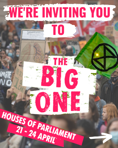 Greenpeace UK tweet media