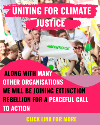 Greenpeace UK tweet media