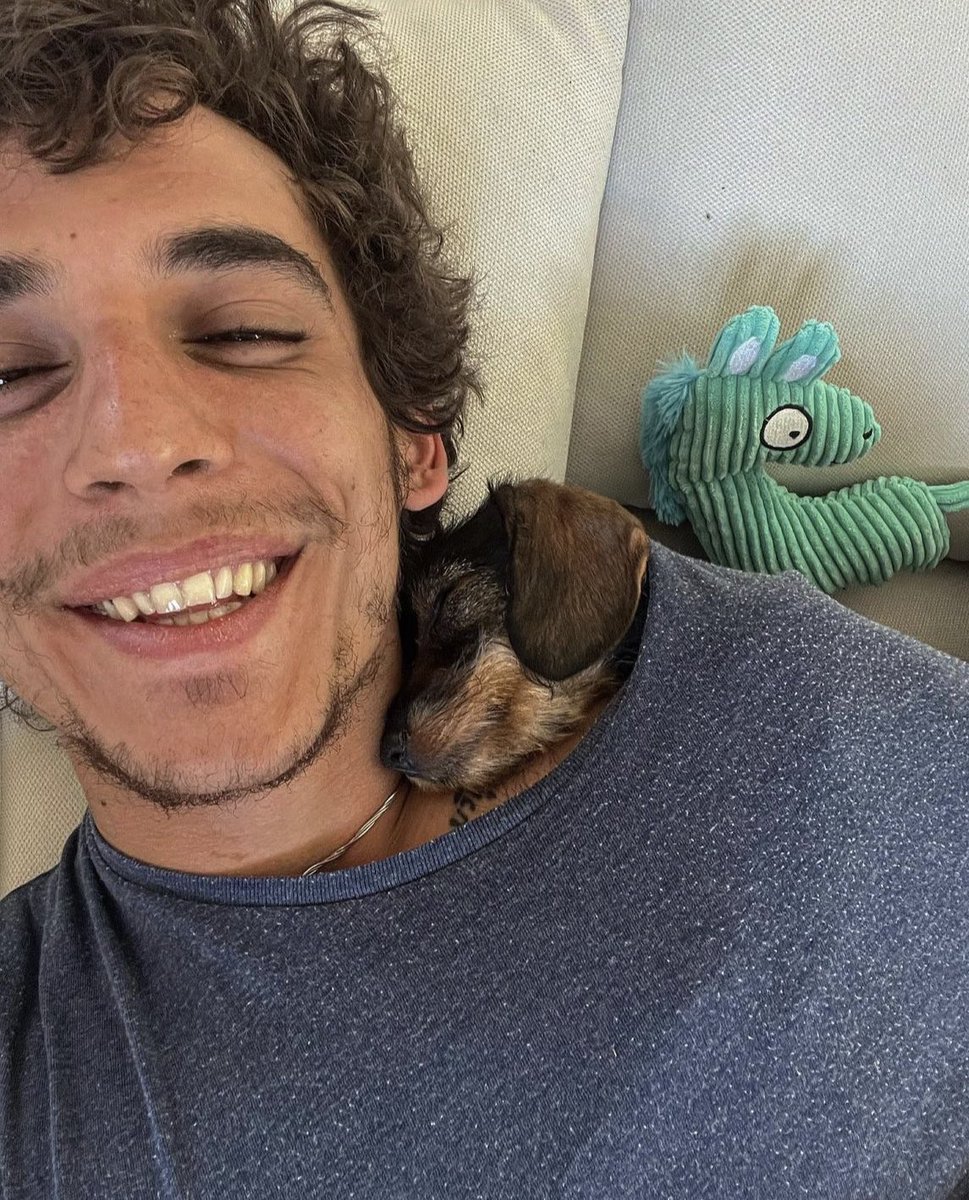 HerranDaily's tweet photo. QUE AMOR! Nova cachorrinha do Miguel chamada Piña 💘 https://t.co/QoFOEebXQ1