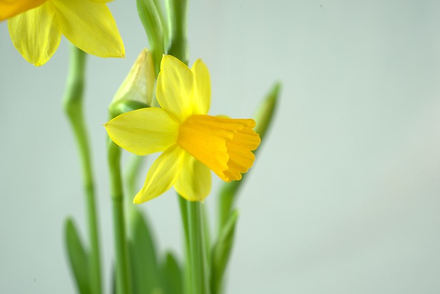 KatieDuckworth's tweet photo. Wishing a happy #Easter break to all my hard-working #coaching clients leading #nonprofit orgs & teams with such passion. A reminder to take time off. Your 4 days start now π #Wellbeing #Resilience #FlourishAtWork https://t.co/RXrXBu2WnU