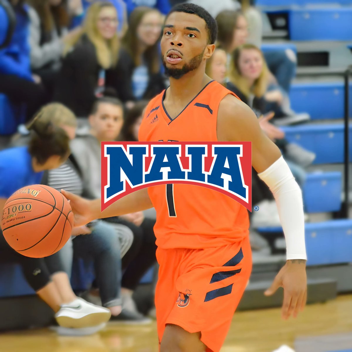 ExpoHoops's tweet photo. ⚠️ NAIA Men’s Basketball program looking to evaluate and recruit 2023/24s 🏀 

Reach 𝙀𝙑𝙀𝙍𝙔 program: https://t.co/AQd7wRxZG7

⬇️ DROP FILM &amp; RETWEET ⬇️ https://t.co/DWaZJe6qXK