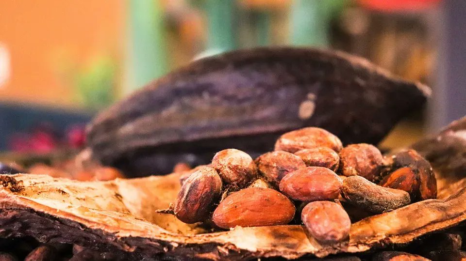 GGKitchenGadget's tweet photo. Single-origin chocolate. A type of chocolate made from beans sourced from a single geographical region, usually a single farm or estate. These beans are grown in a specific location, are higher quality with distinctive flavor profiles from climate, soil, &amp; cultivation methods. https://t.co/PsUya26E8s