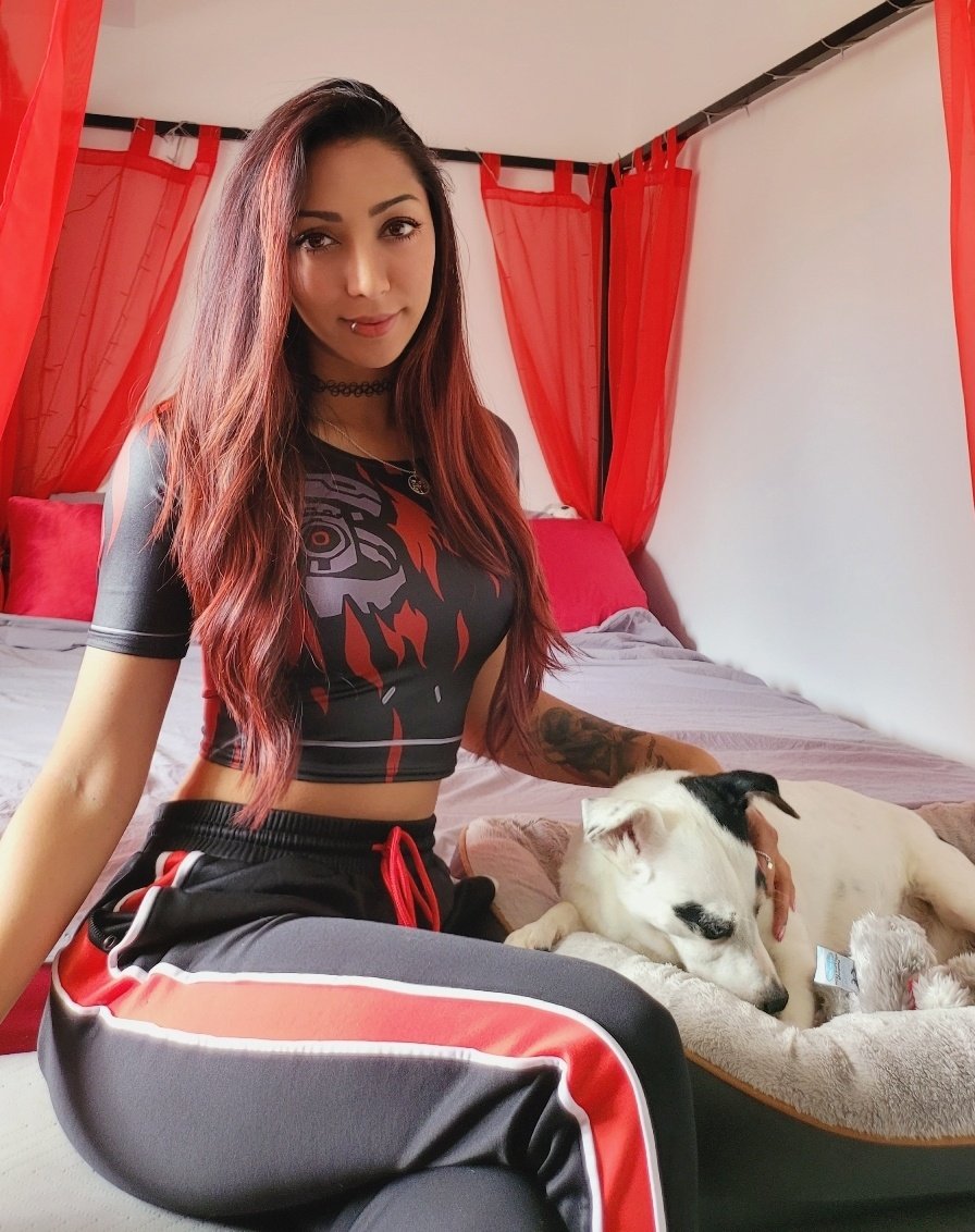 CyborgAngel 🦋 🔜 i70 on Twitter: "It's my 6 year Twitch Partner