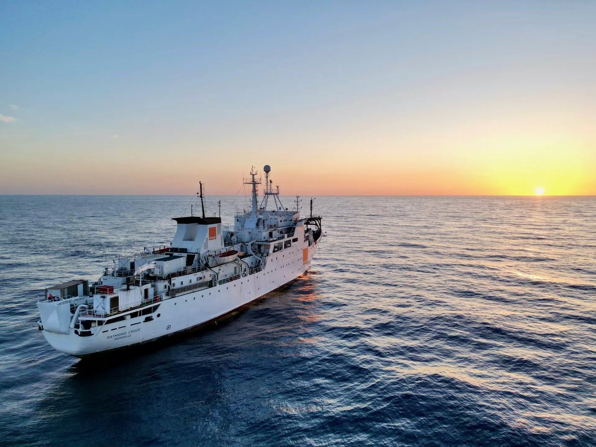 Orange Marine tweet media