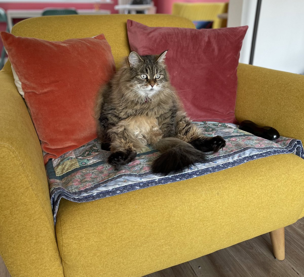 Gwenthebabber's tweet photo. Sitting and thinking… https://t.co/6duift9IK3