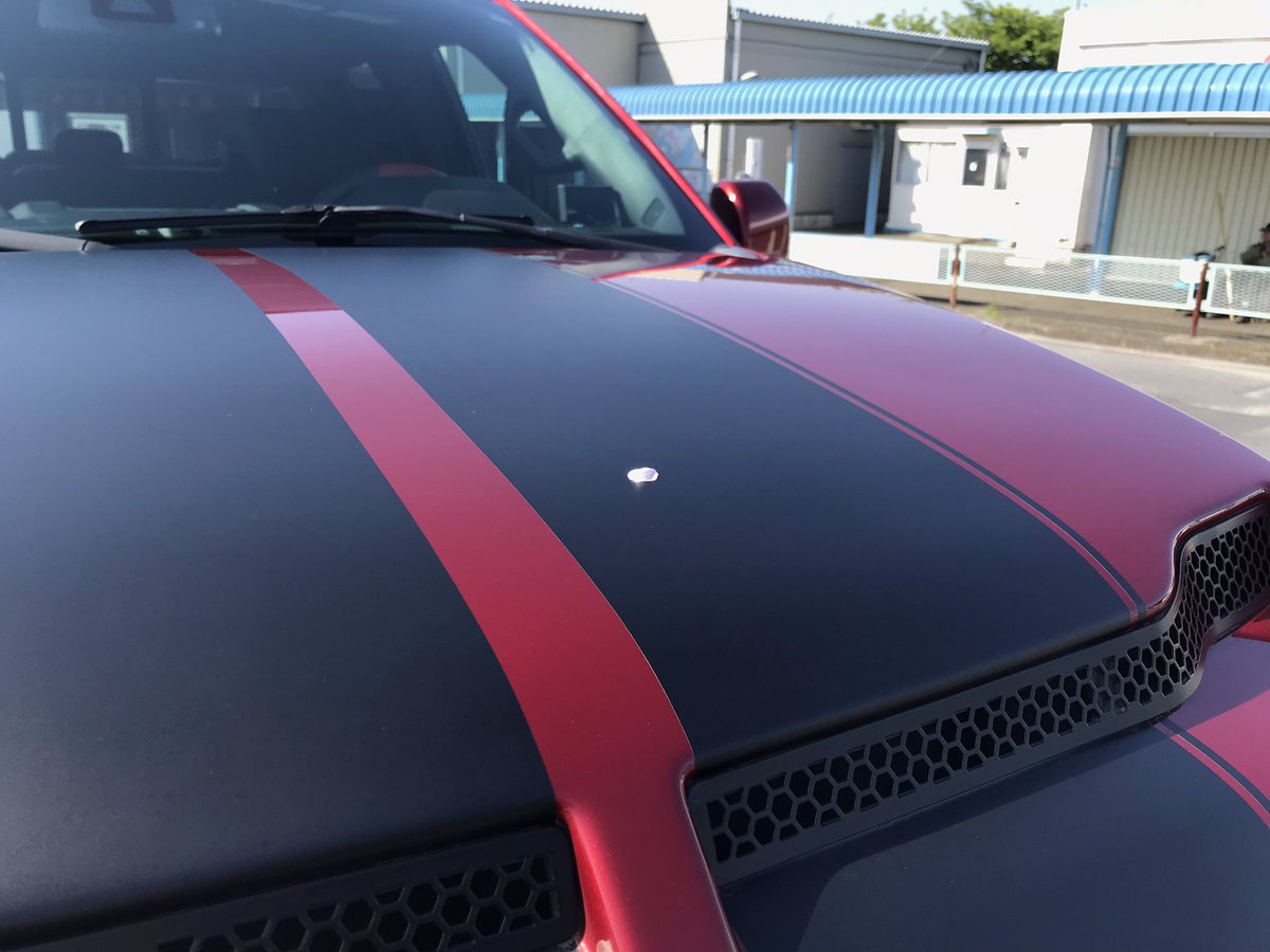 Shelbyに散りゆく花びら。#林明輝写真美術館 #Leofoto林明輝LS284CLin #林明輝KaniFilterセット #ファインダー越しの世界 #キリトリセカイ #ソニーαアカデミー #東京カメラ部 #日本の絶景 #風景写真 #森の瞬間 #DesignScape #故郷OTARI小さな谷の物語 #自然首都 #美しい景色 #旅と鉄道 #日本の風景