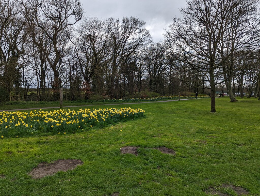 IN MEMORY OF
MIKE JACKSON
FILEY
1939-2000
DAD, GRANDAD &amp; FRIEND
openbenches.org/bench/28203
CC BY-SA 4.0
℅ <a href="/jontheniceguy/">Jon Spriggs - toot.io/@JonTheNiceGuy</a>