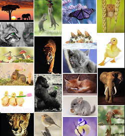 PostcardStoreOP's tweet photo. EASTER COMPETITION TIME! Yipee!
To #win a mixed pack of 10 postcards, follow, retweet and reply with ‘10 of the best’ Closes  9am on 11 April, best of luck!
#Easter #competition #giveaway
https://t.co/Yq9SB3pf6l https://t.co/2KF0To0nxM