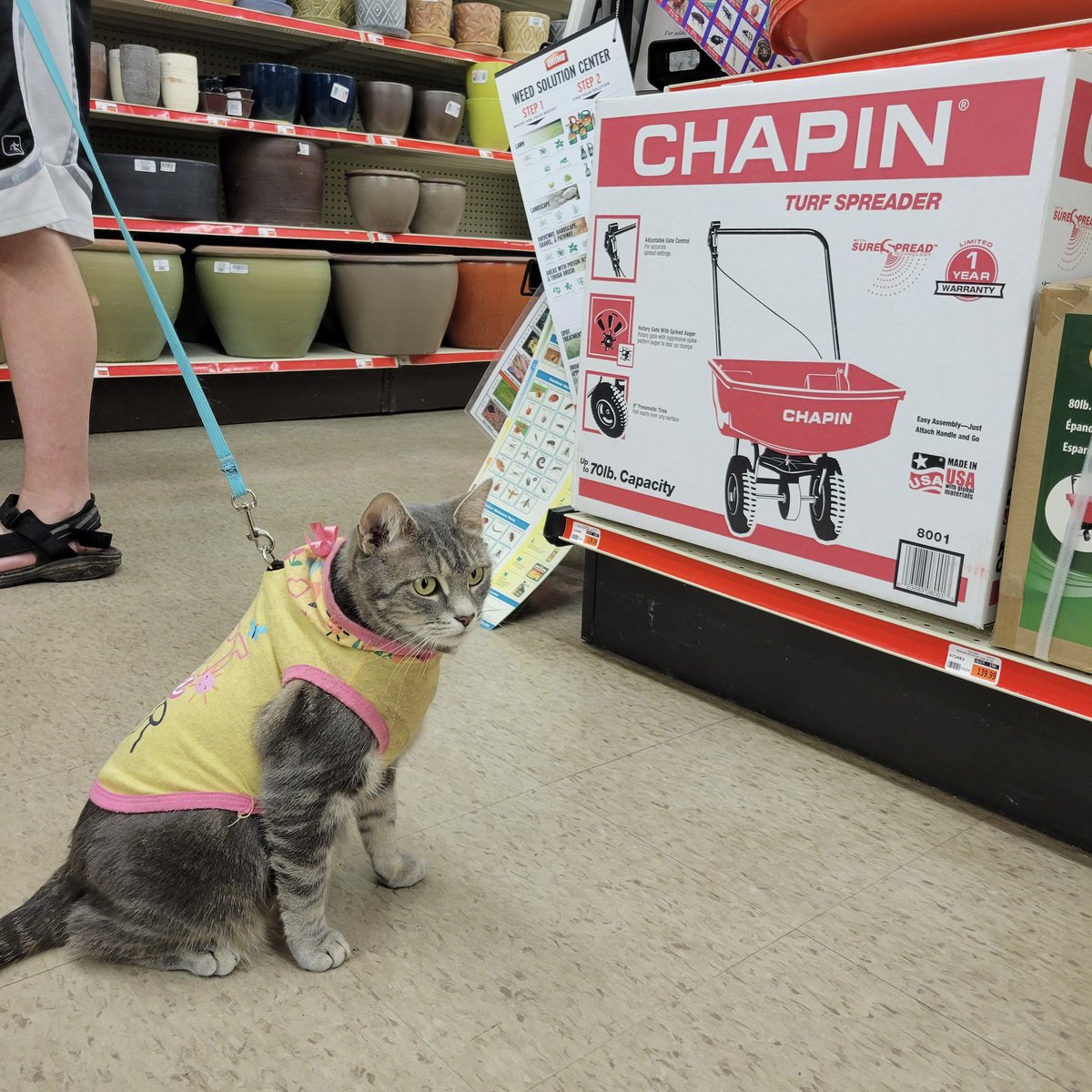 On a shopping trip at her local hardware store