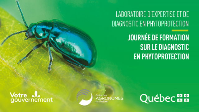 2023 marque le retour des journées de formation du LEDP ! Formation accréditée par l'OAQ. Inscriptions sur le point de vente jusqu'au 24 avril. 
agrireseau.net/lab/documents/…