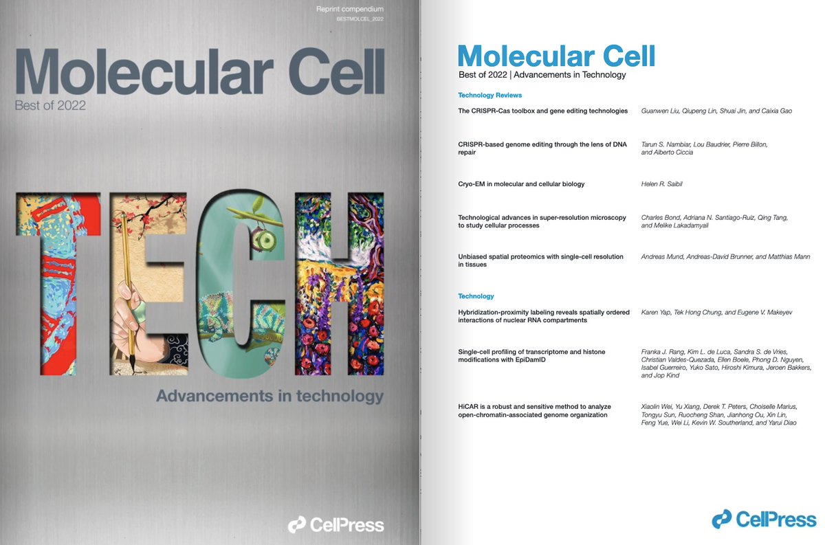 Yarui Diao tweet media