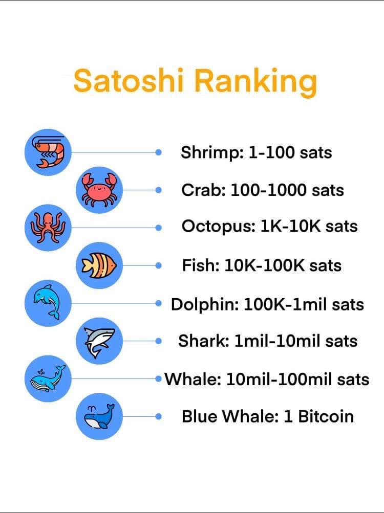 TheBitcoin__'s tweet image. Dear fellow #Bitcoiners with great pleasure let me introduce to you &quot;The People&apos;s Ranking&quot;  Do you find yourself here?