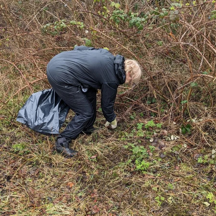 Saffron Acres tweet media