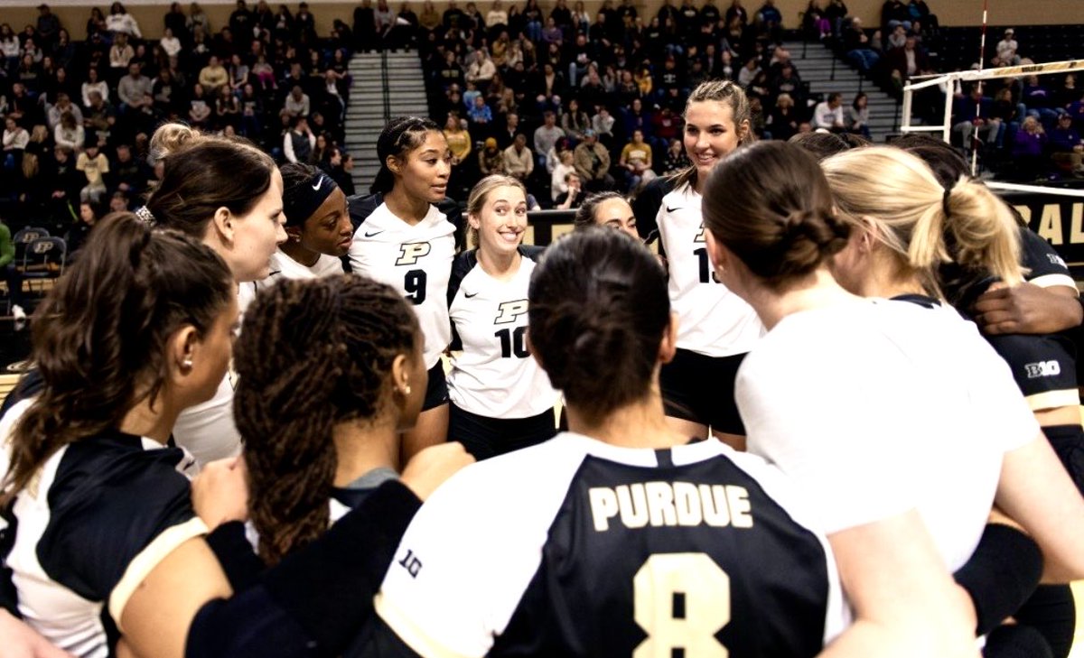 Dave Shondell tweet media