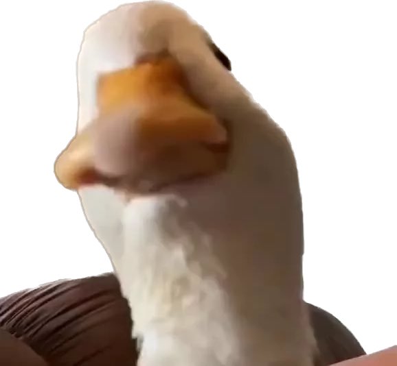 GM

let’s get this bread fam