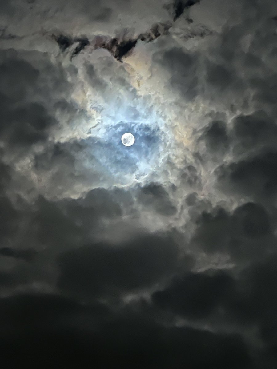 yoneyashoten's tweet image. 月の撮り方ムズ！
#月の撮り方
#ipone
#iponeで月を撮る