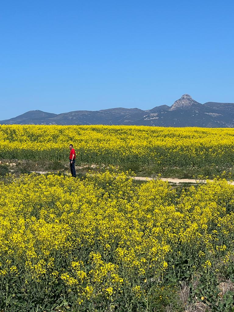 Celfau50's tweet photo. Hermosa primavera en Huesca pero necesitamos que llueva. #SemanaSanta2023 #Gratal #Huesca https://t.co/rFBLMpN1gD