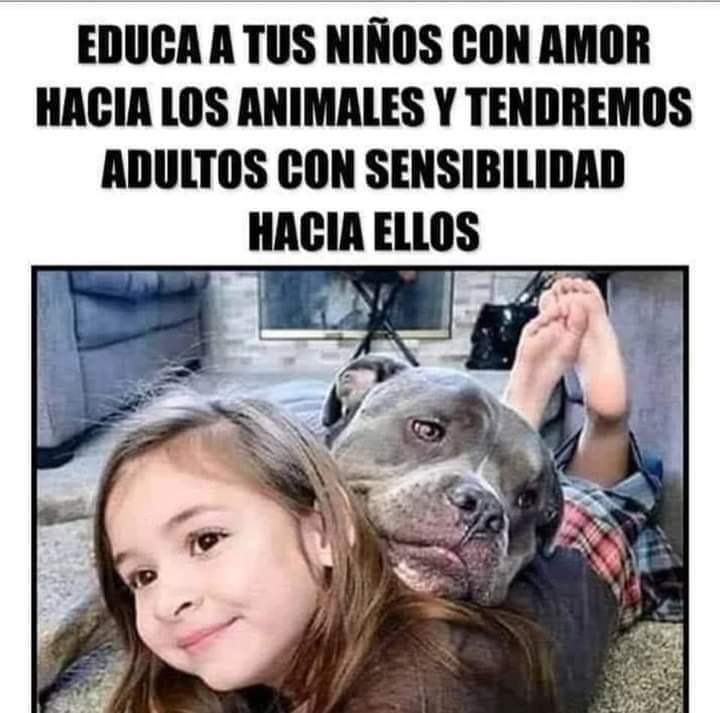 GRamirezF_D12's tweet photo. Buenos días Feliz jueves 🐾🐶❤️ https://t.co/XpVU2Zpu9B