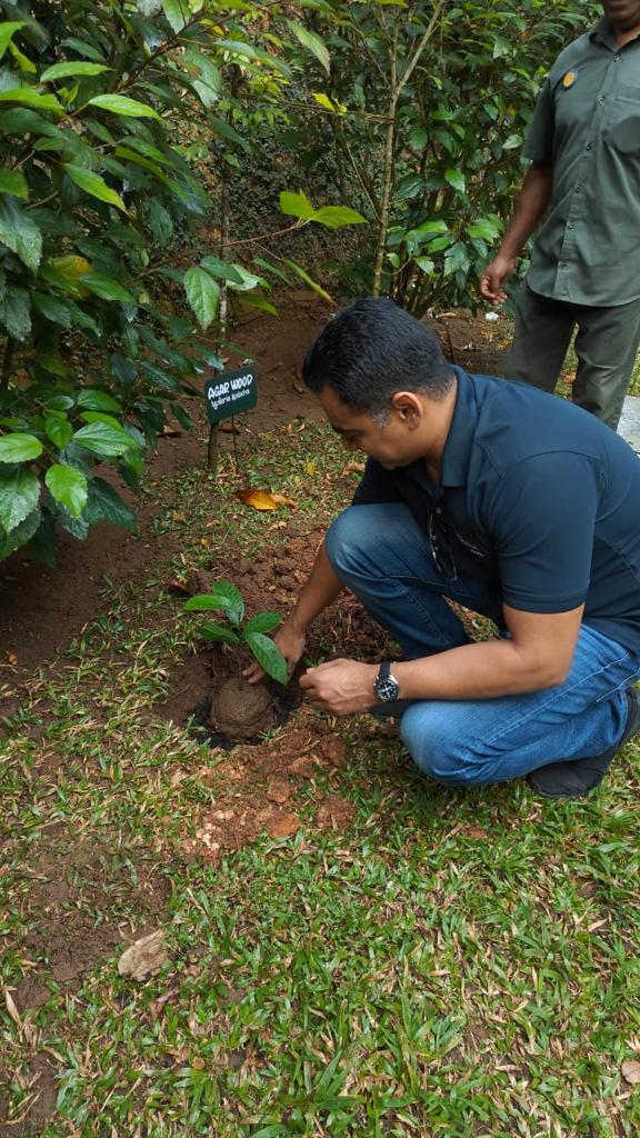 #Happy and #fortunate as I got the #opportunity to plant a #sapling. We all have a role to play in creating a world that is #resilient, #equitable, and #sustainable for generations to come. Let's continue to plant saplings
#sustainable #Sustainability #sustainabledevelopment