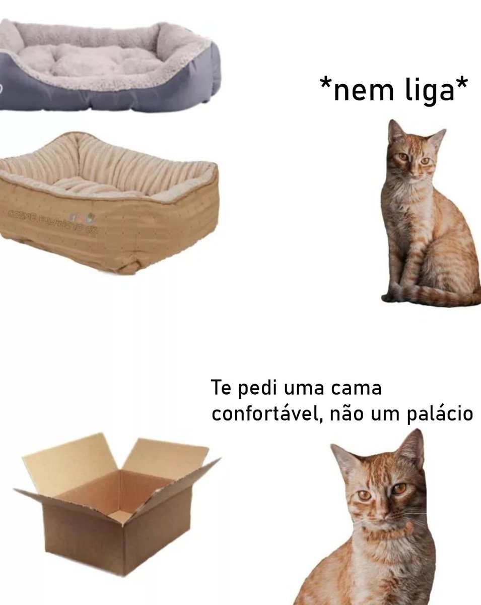 se a terra não é plana como explica o céu reto? tweet media