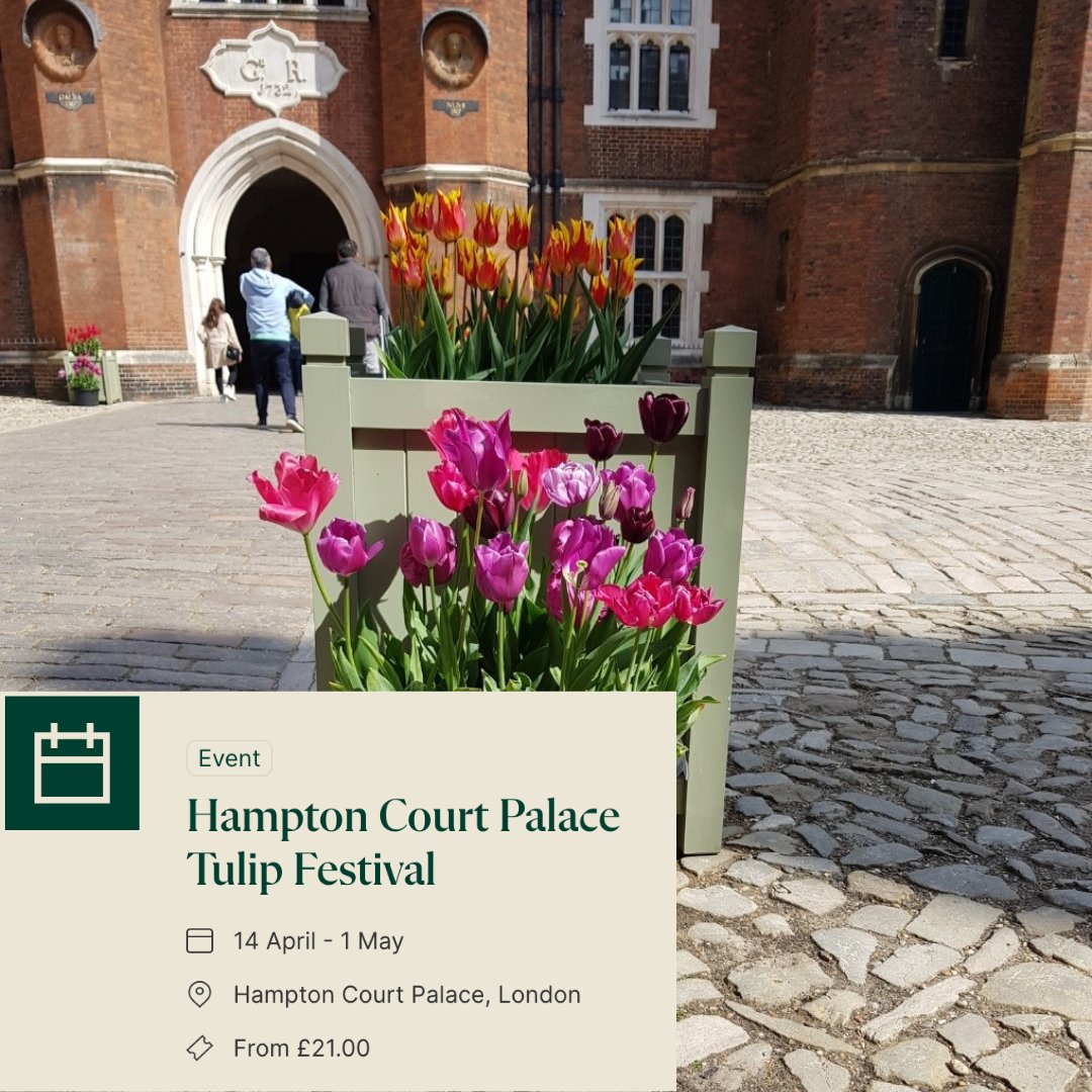 Tudor Places tweet media