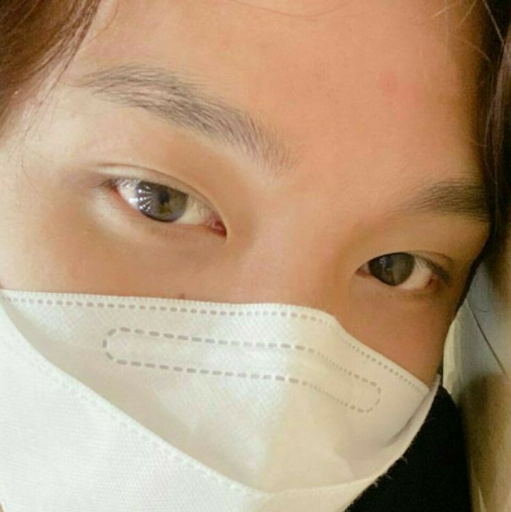 the ava                              the owner