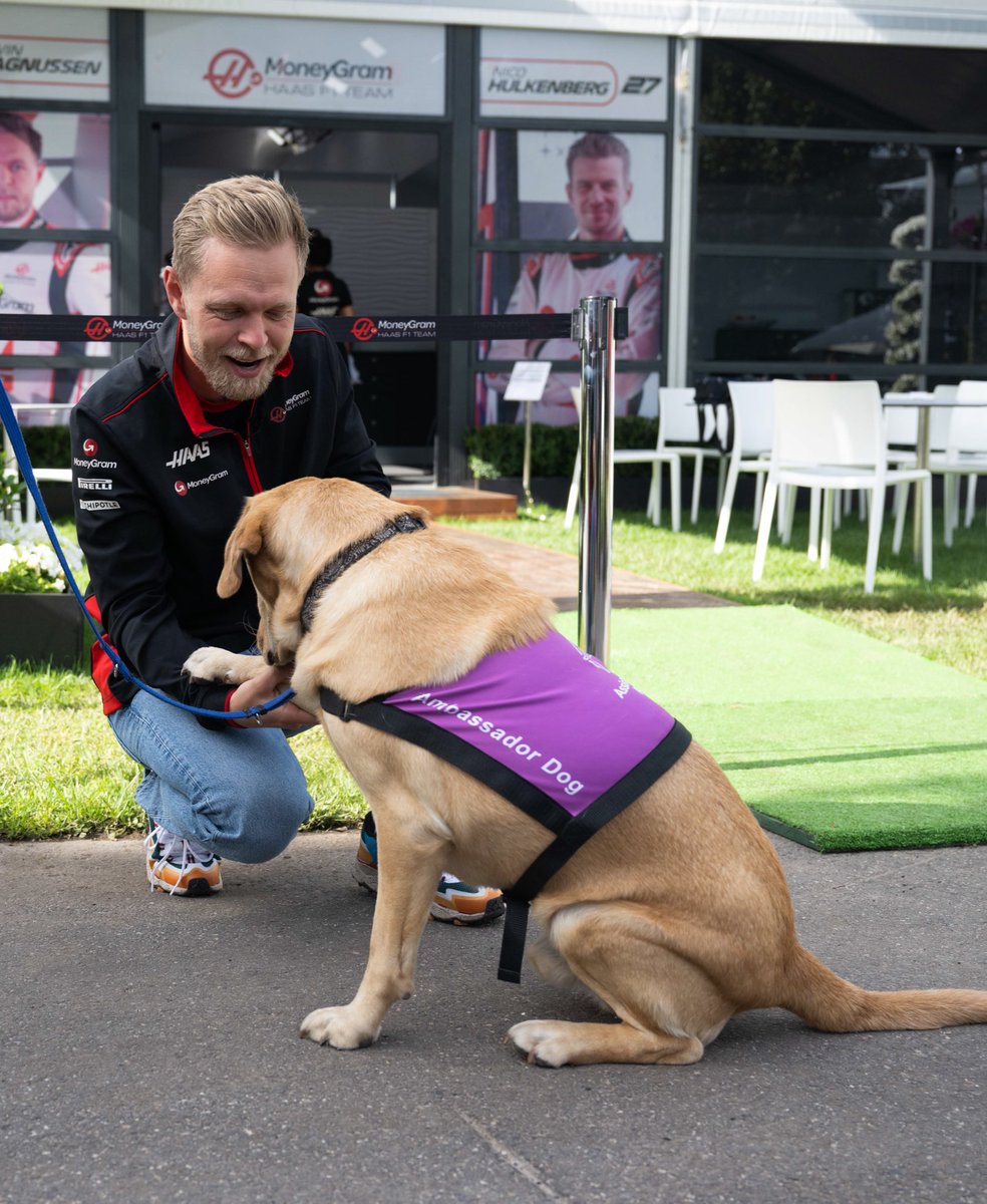 MoneyGram Haas F1 Team (@haasf1team) on Twitter photo Here’s more of the Kevin and Snowy from <a href="/AssistanceDogs/">Assistance Dogs Australia</a> you were after 😇
#HaasF1 Here’s more of the Kevin and Snowy from <a href="/AssistanceDogs/">Assistance Dogs Australia</a> you were after 😇
#HaasF1