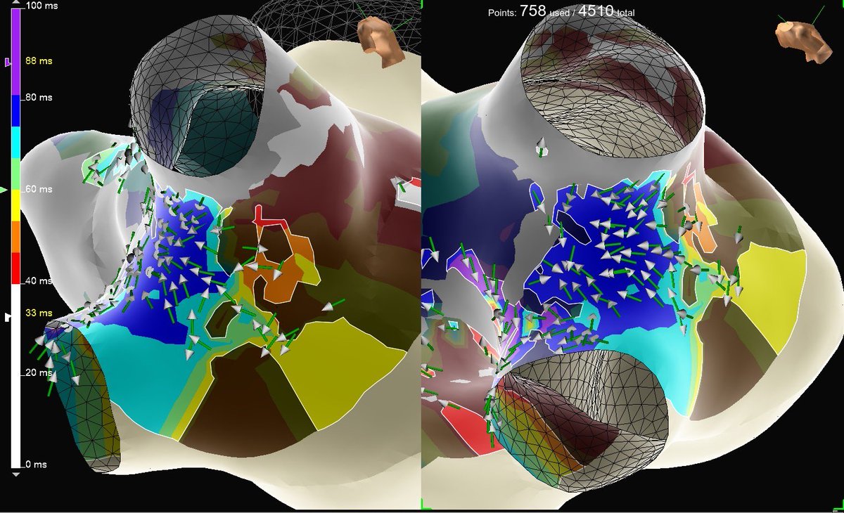 Mallory Taylor tweet media