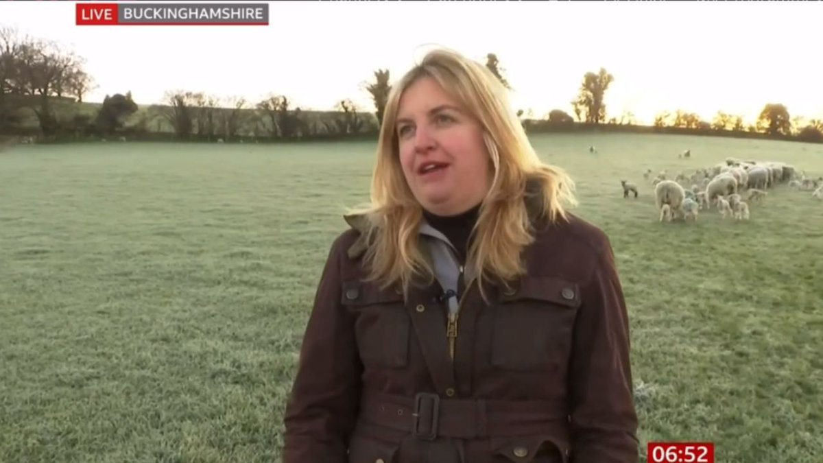 Chilterns #farmer Isobel Connell was on @BBCBreakfast, highlighting increased attacks on livestock by #dogs. Did you know it's a legal requirement to keep your #dogsonleads on open access land between 1st March & 31st July? Help protect ewes & lambs & #groundnestingbirds.