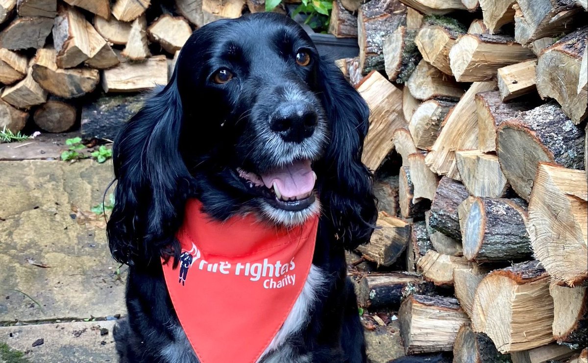 Fire Fighters Charity tweet media