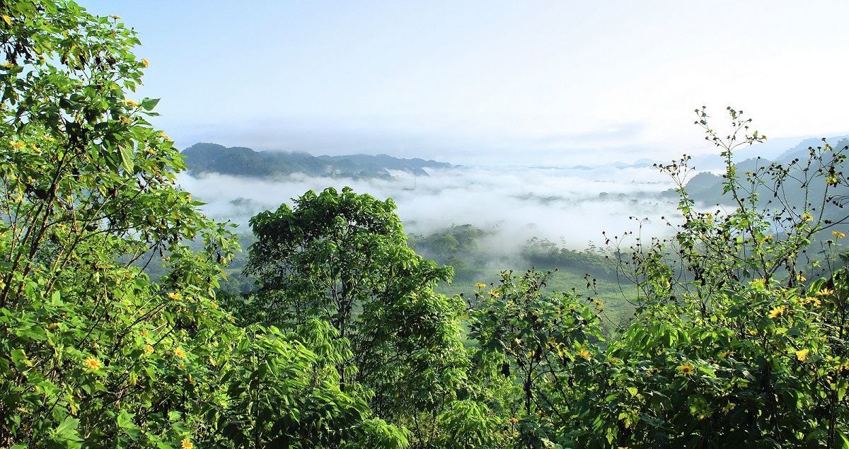 BancoMundialLAC's tweet photo. La #Amazonía es fundamental para la salud y el bienestar del planeta y sus habitantes. En el #DíaInternacionalDeLosBosques conoce varias plantas de este ecosistema y cómo se han utilizado para tratamientos y suplementos alimenticios. https://t.co/2lsqVkgay0
@theGEF https://t.co/hUSkMh0qWO
