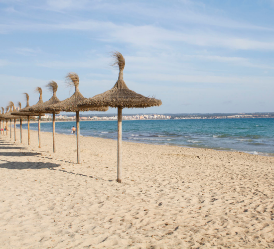 CoWorking Days tweet media