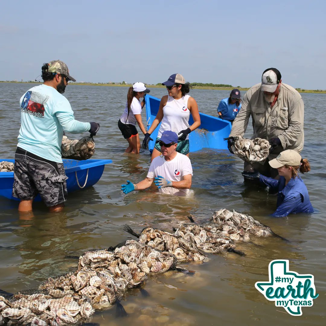 Today is the last day of WATER WEEK! Submit your posts using #myearthmytexas and tag us to enter to win a $50 giftcard from Waterlust! buff.ly/3QyHmya