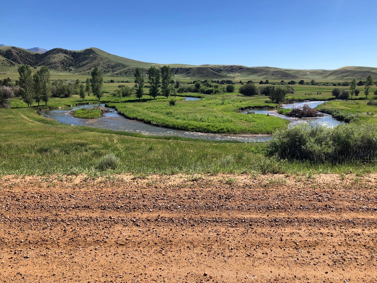 BackroadsMT's tweet photo. Happy #406day, #Montana! Which great Treasure State town do you call home? https://t.co/cfxLHJLGYk