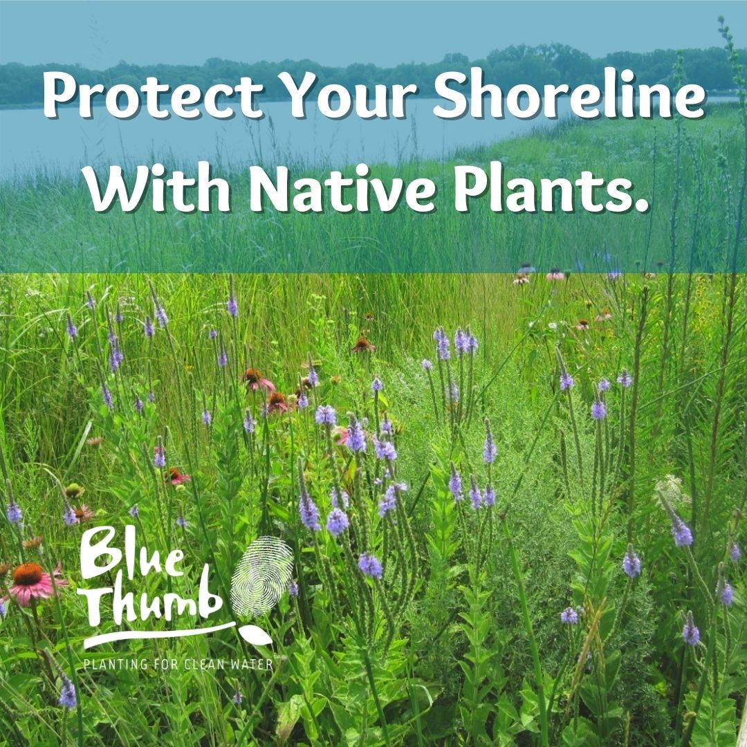 Blue Thumb tweet media