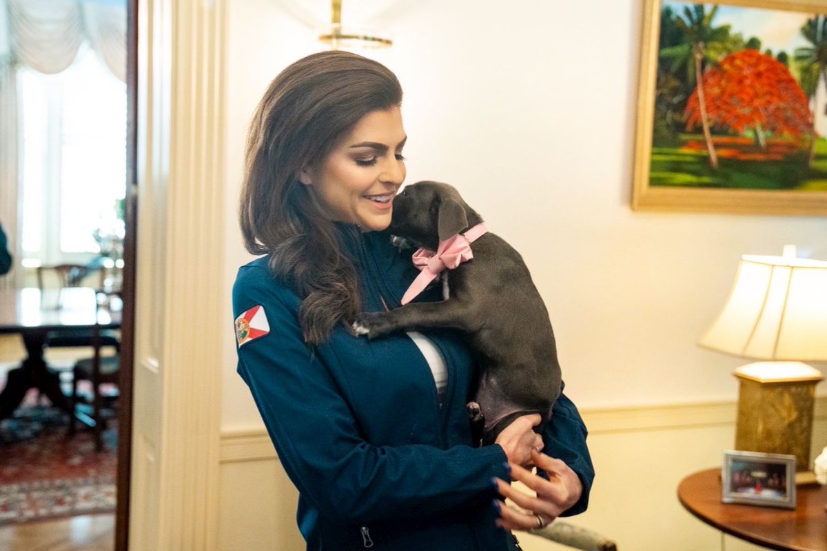Casey DeSantis tweet media