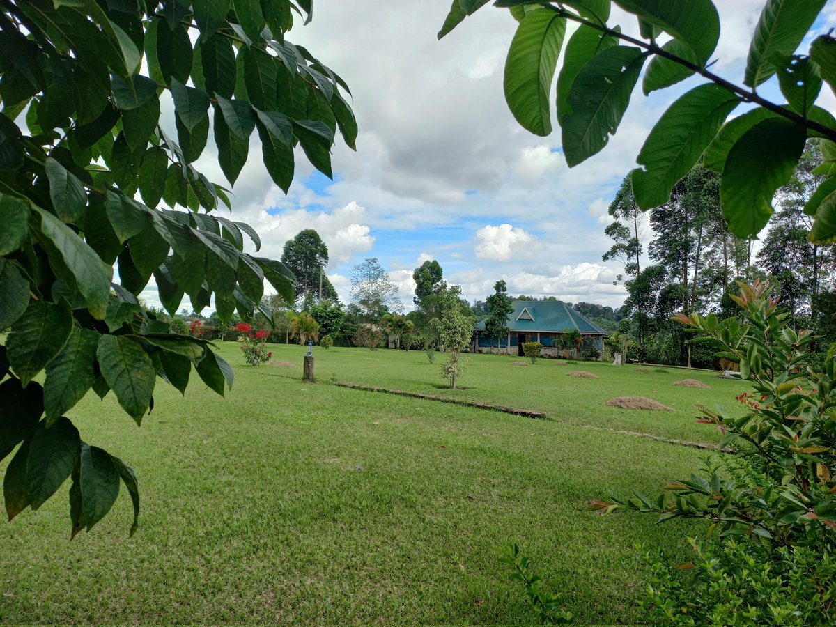 Mugaecovillage tweet picture