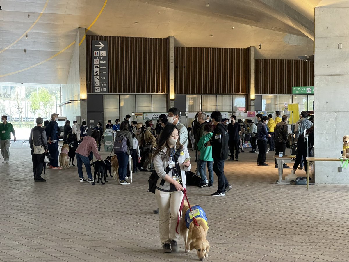 「今日はアシスタントの澤藤ちゃんと介助犬フェスタに行ってきました!現地開催は久しぶ」|真希ナルセ（マキ）のイラスト
