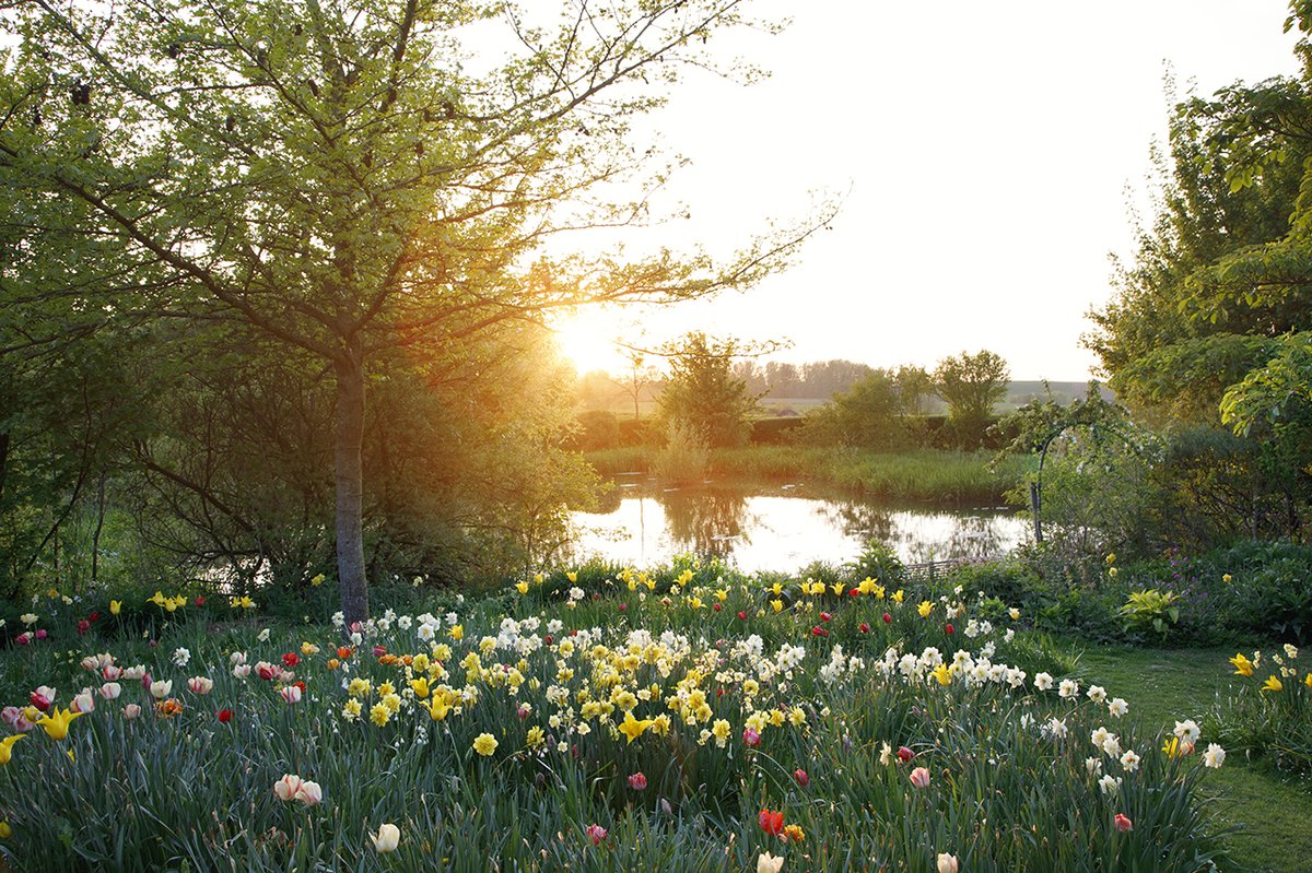 GdnsIllustrated's tweet photo. Our photographers are the best in the business and many have been working with us for years. Here we asked several of our longstanding contributors which image they loved the best from their past work on the magazine. Here are the results

https://t.co/aoXFSto9zx

#GI30 https://t.co/6nUSb3OUnm