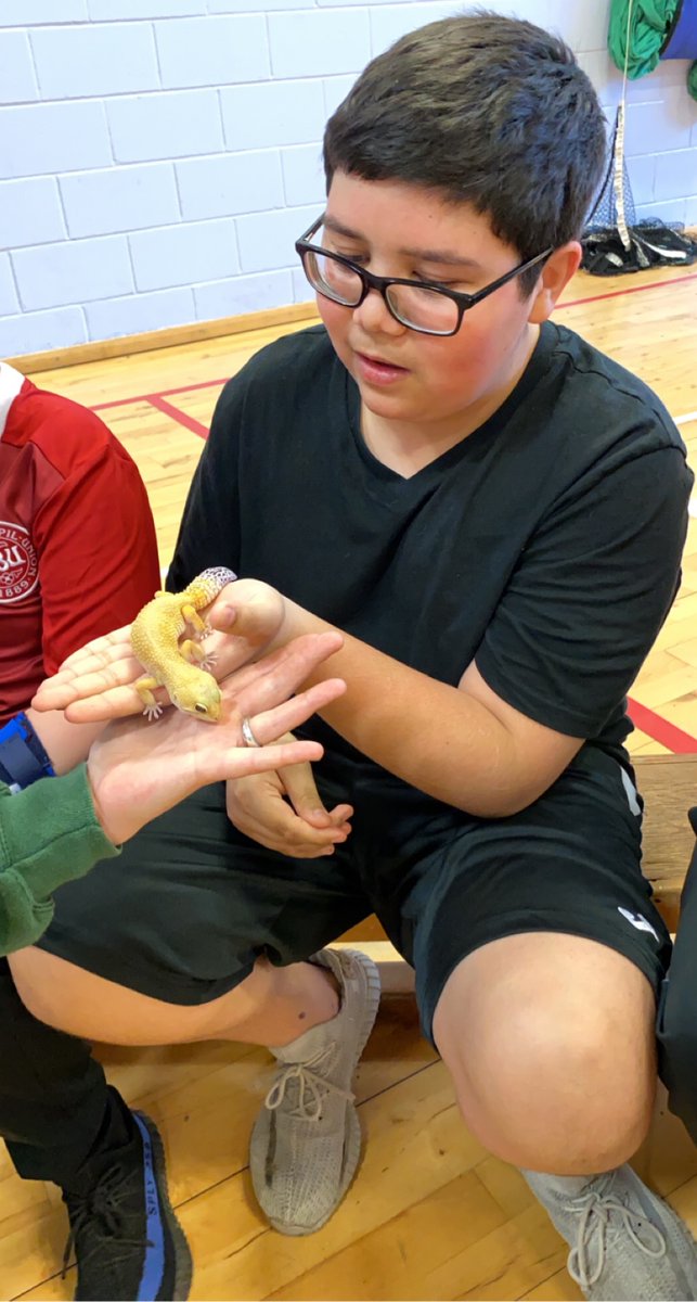 Karla_Lochend's tweet photo. Animal man came to visit @LochendHigh  with @basketballscot 

Spring club ! https://t.co/70FLYc3ldo
