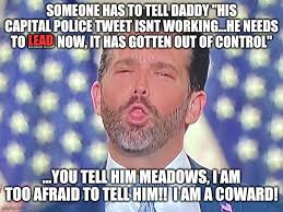 JC61479's tweet photo. @TiredOfThe_B_S @DonaldJTrumpJr And let's not forget these cute ones:
#FuckOffFacist https://t.co/u0qsGV0Cqh