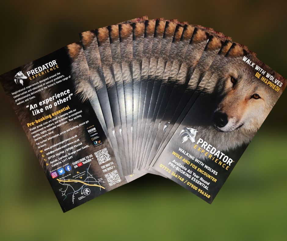 We love being able to support some of the fantastic work that our clients do in the Lake District.

Predator Experience specialises in animal experiences, observing the animals natural behaviour and the roles of top predators.

aha-distribution.co.uk/contact/