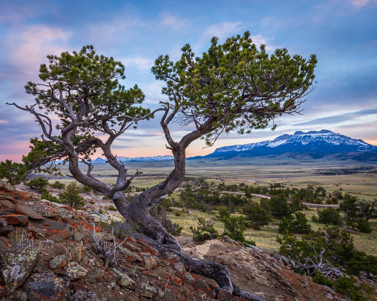 Happy 406 Day Montana! ..   ..   ..   #406day #Montana #rockymountains #rockymountainfront #lastbestplace #bigskycountry #exploremontana #montanagram #montanamoment #montanalandscape #landscapephotography