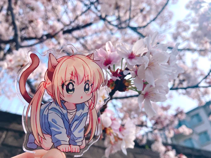 もう大分散っちゃって寂しい!春短すぎんかね(*`-') 