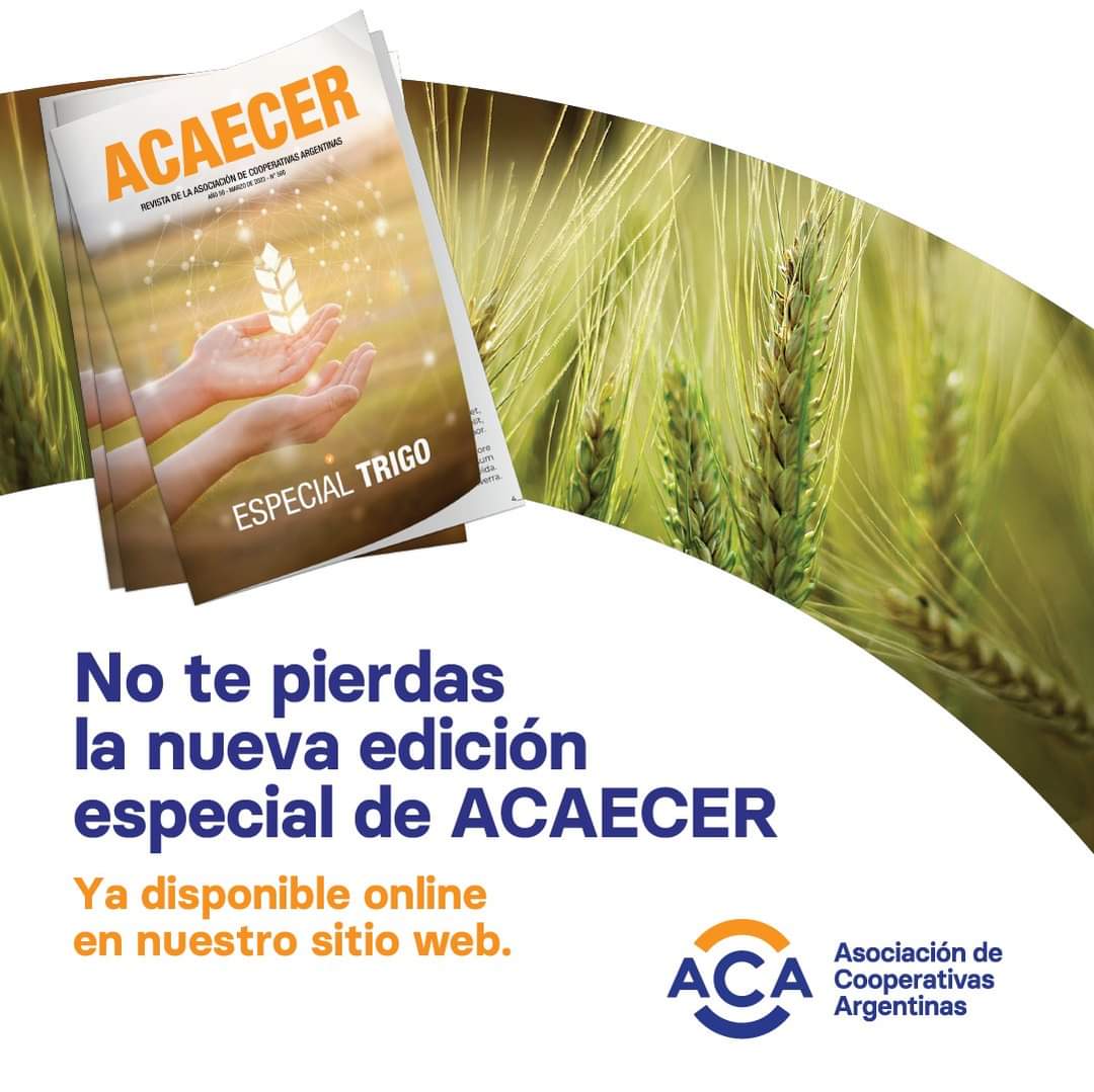 ACAcoop's tweet photo. Ya podés leer online o descargarte la nueva edición de #ACAECER  

En esta edición, les traemos el especial #Trigo con toda la información, novedades y noticias técnicas de cara a la próxima campaña.  
 
Ingresá acá 👉 https://t.co/DxIJwnWLXd https://t.co/ZIvgtOO7zm