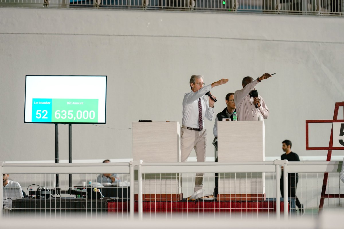 RacingEra's tweet photo. The full results from Tuesday's record breaking #HITSale in association with @Tattersalls1766 are now on our website 👇
https://t.co/8M1obY1PEl https://t.co/ROTW5RosDl