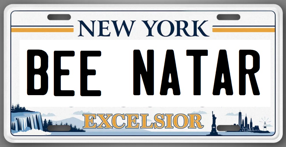 bftcpa's tweet image. And we have a winner, everyone!  Our newest beehive will be led by Queen Pat Bee-Natar! So hit me with your best shot!  I think that hive will be moving to the mountain this weekend... #beesofinstagram #apiarylife