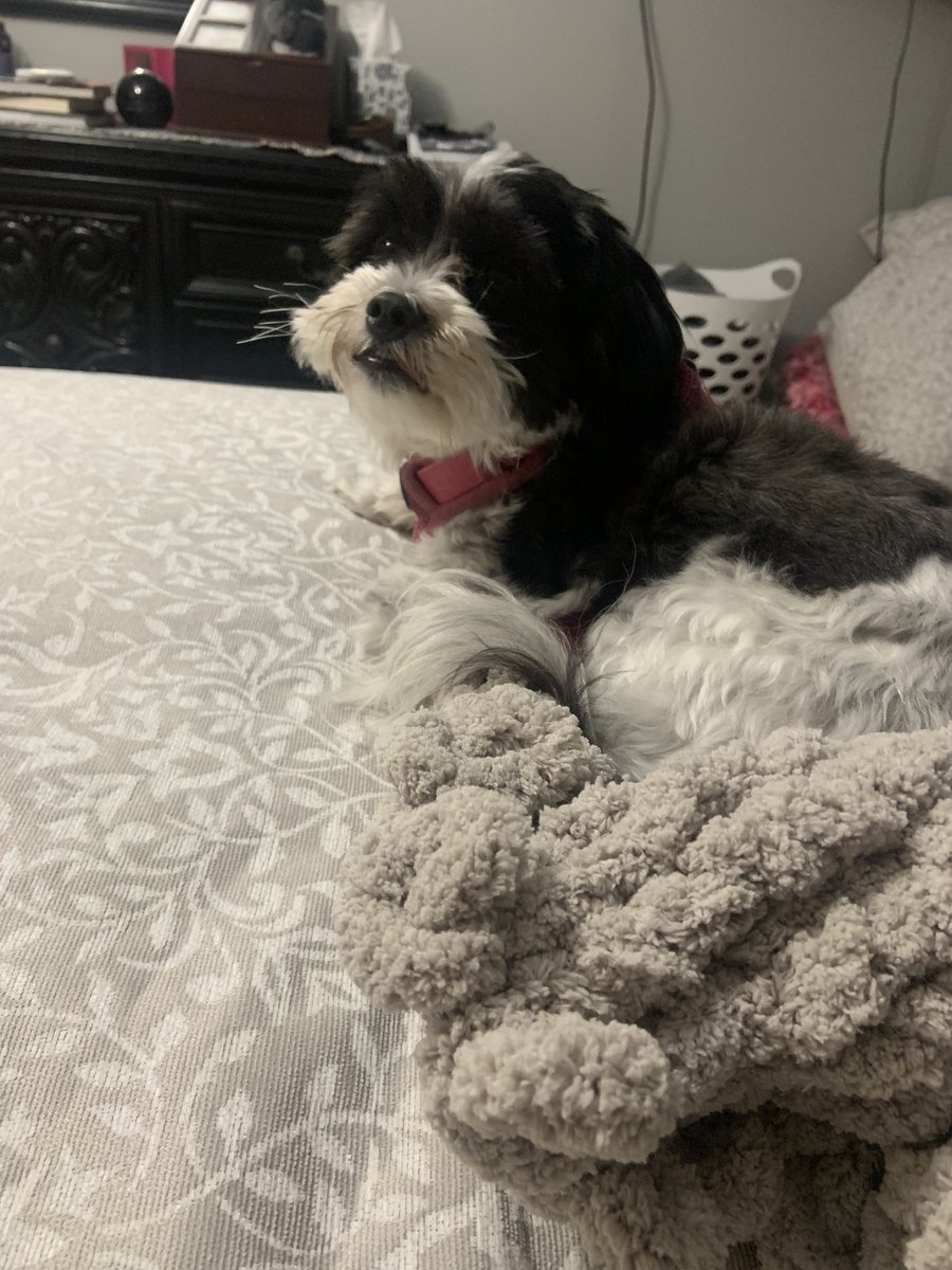 I’m not moving off the blanket mom is making !!