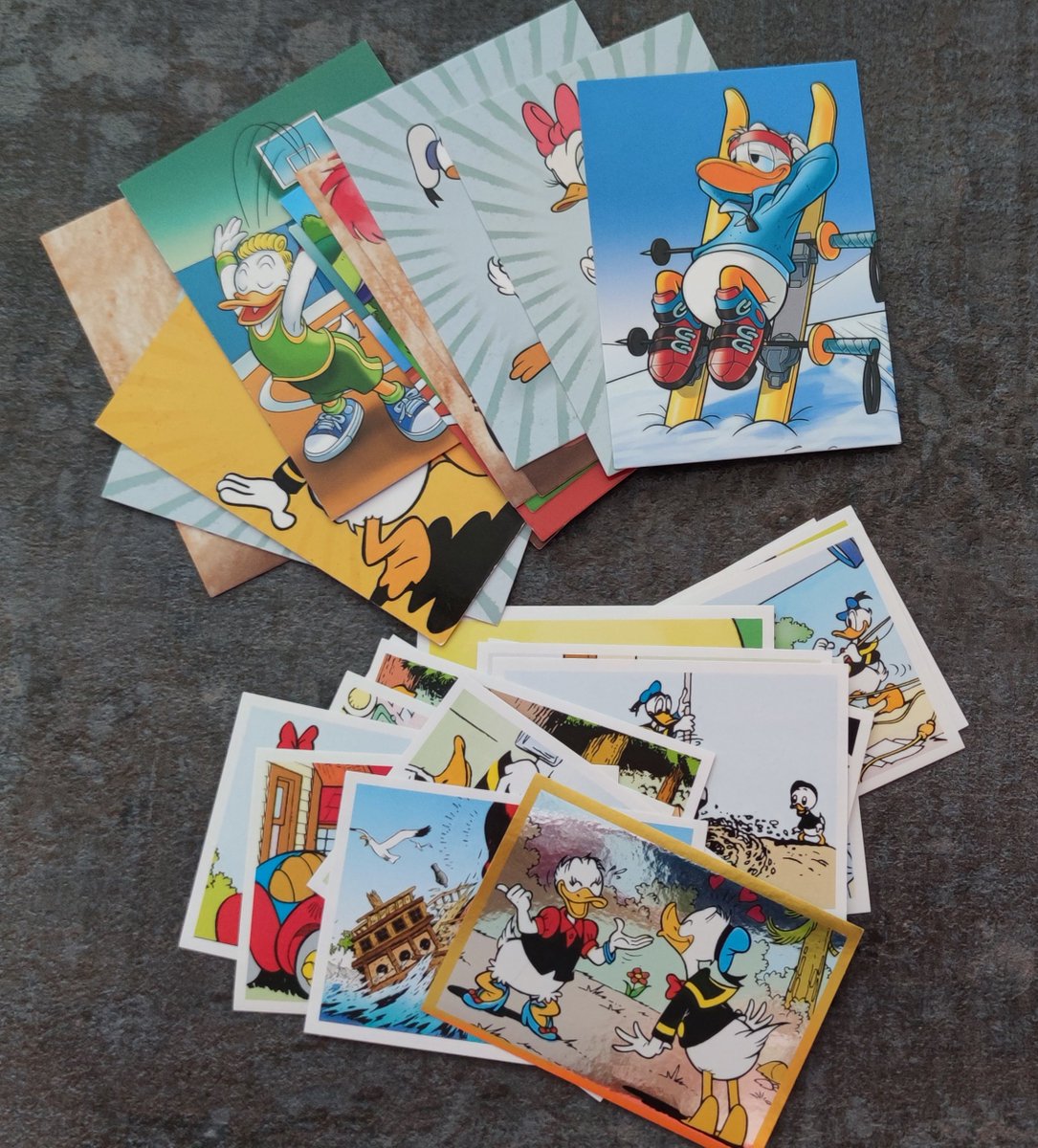 Kit (Ryu) 🐅 tweet media