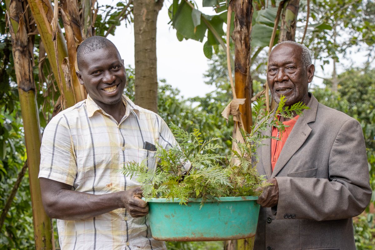 FairventuresUg's tweet photo. The rainy season is here and it's the right time to plant #trees. Our seedling distribution activities promote agroforestry, ensuring sustainable land use and a greener future. Let's make a difference togetherπΏπΏ
#SeedlingDistribution #Agroforestry #Sustainability https://t.co/MKddcEme8t